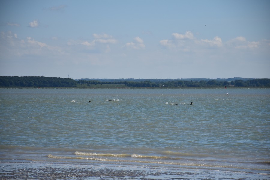 6 La Baie de Somme_03.jpg