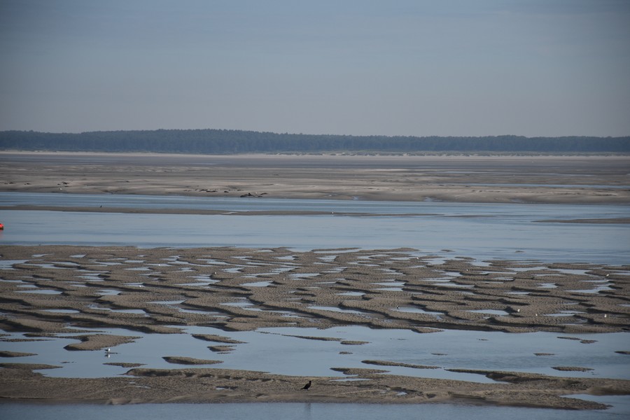 6 La Baie de Somme_06.jpg