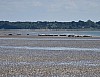 6 La Baie de Somme_02.jpg